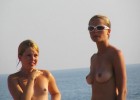 At the beach great tits